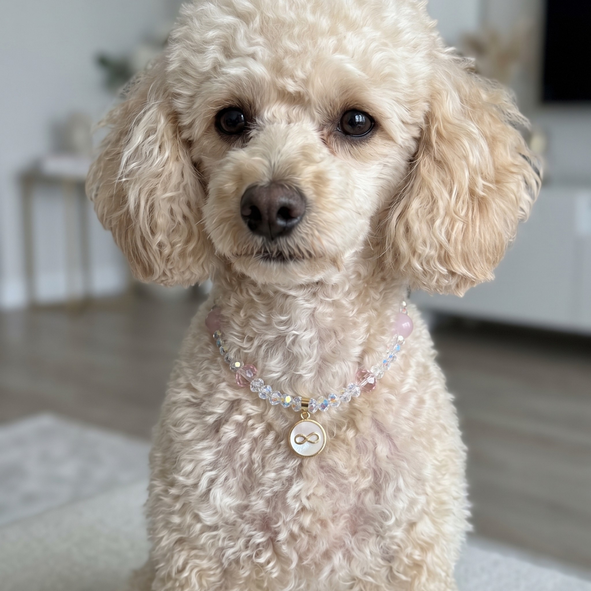 Collana per Cani "Tiffany Infinity" con Quarzo Rosa e Simbolo dell'Infinito